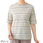 画像1: 5分袖タックボーダージャカードTシャツ (1)