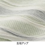 画像5: 5分袖タックボーダージャカードTシャツ (5)