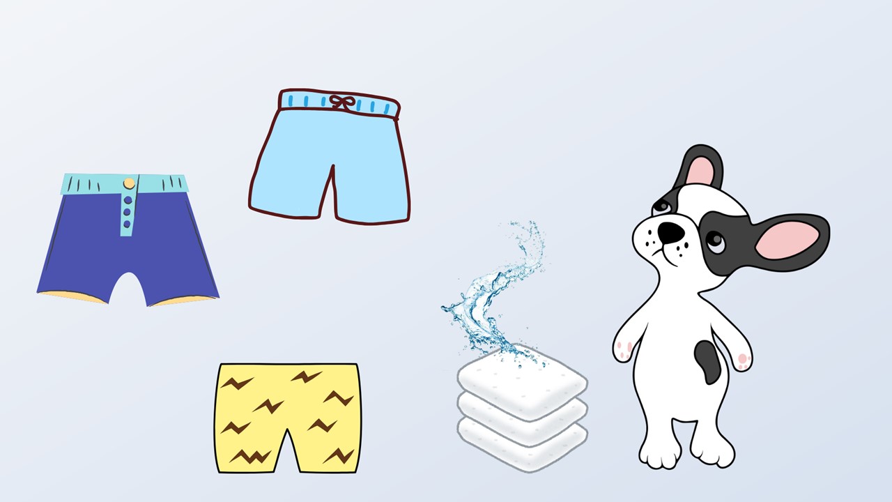 尿漏れパンツの吸水帯に使われている「ベルオアシス®」とはどのようなものでしょう?